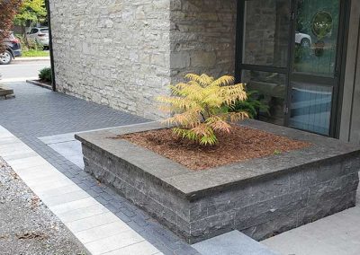 Hampton limestone planter with interlock walkway