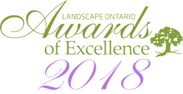 Award of Excellence - 2018